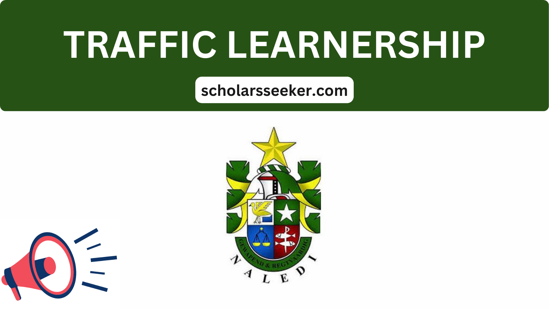 Traffic Officer Learnership 2024 | Scholarsseeker